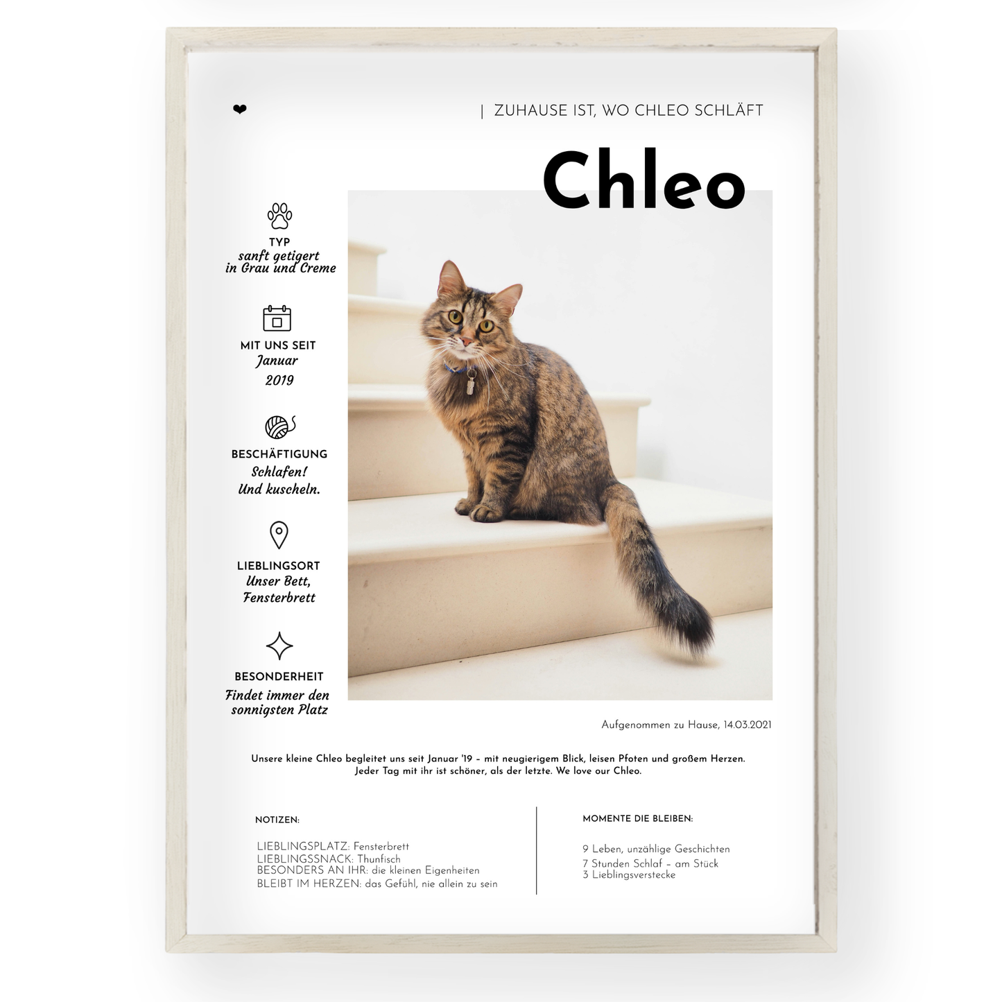 Personalisiertes Katzenposter: Pet Edition