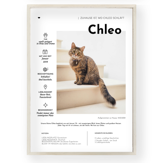 Personalisiertes Katzenposter: Pet Edition