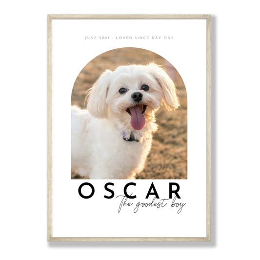 Pet Portrait from Photo